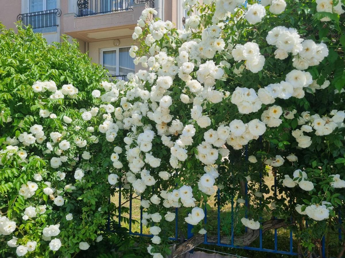 Studio Apartment With Balcony 300M From Beach Sunny Beach Exterior photo